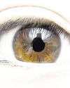 Caterpillar: How change of eye colour gave David his wings Caterpillar: How change of eye colour gave David his wings16