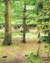 Lancashire Evening Post