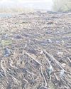 Lancashire Evening Post
