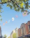 Special guests lined up for Canopy of Colour launch date5