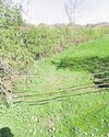 Developer makes a revised bid for homes on fields9