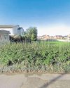 Developers in bid to make changes to bungalows plan Developers in bid to make changes to bungalows plan12