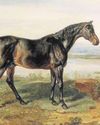 How the great Doctor Syntax became Preston's racing legend14