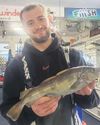 Fylde coast anglers are not at sea as boat fishing brings plenty of species28