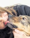 Breakdown in relations between man and dog on a morning walk17