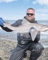 Two double-figure tope a highlight of Fylde Coast’s beach-fishing haul26