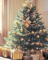 Have yourself a merry – and green – Christmas9
