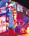 Stan's display brings festive joy8