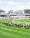 Public urged to turn its back on Grand National8