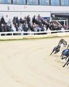 Shields Gazette
