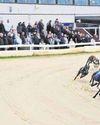 Shields Gazette
