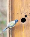 What pet owners can do to help prevent chemicals affecting our wildlife What pet owners can do to help prevent chemicals affecting our wildlife3
