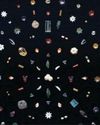 Jewels linked to Buddha remains go to auction, sparking ethical debate53