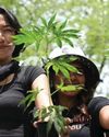 Thailand was the first country in Asia to legalize marijuana. Things didn't go as planned Thailand was the first country in Asia to legalize marijuana. Things didn't go as planned47