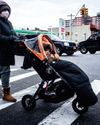 New York Amsterdam News