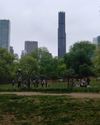 New York Amsterdam News