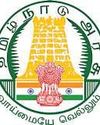 இளஞ்சிவப்பு ஆட்டோக்கள் திட்டத்திற்கு பெண்கள் விண்ணப்பிக்கலாம் Dinakaran Chennai