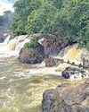 ஒகேனக்கல் அருவியில் குளிக்க, பரிசல் சவாரிக்கு தடை11