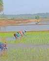 Dinakaran Chennai