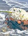 அரபிக் கடலில் மிதக்கும் 1400 டன் பிளாஸ்டிக் துகள்15