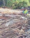 கோடை வெயில் எதிரொலி மவுசு குறையாத தென்னங்கீற்றுகள்91