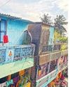 தண்டையார்பேட்டை வஉசி நகரில் வீட்டில் கஞ்சா செடி வளர்த்த தவெக ஆதரவாளர் சிக்கினார்56