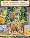 இந்தியாவில் அழிவின் பிடியில் 10 லட்சம் அரிய உயிரினங்கள் இந்தியாவில் அழிவின் பிடியில் 10 லட்சம் அரிய உயிரினங்கள்97