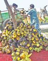 காஞ்சிபுரத்தில் ஆலங்கட்டி மழை காஞ்சிபுரத்தில் ஆலங்கட்டி மழை104