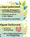 தானியங்களை காலை உணவாக மாற்றுவதால் நன்மைகள் அதிகம் தானியங்களை காலை உணவாக மாற்றுவதால் நன்மைகள் அதிகம்95