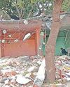 மீஞ்சூர் பேரூராட்சி அரியன்வாயல் பகுதியில் ரூ.1 கோடி மதிப்புள்ள அரசு நிலங்கள் மீட்கப்படுமா? மீஞ்சூர் பேரூராட்சி அரியன்வாயல் பகுதியில் ரூ.1 கோடி மதிப்புள்ள அரசு நிலங்கள் மீட்கப்படுமா?83