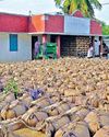 பெரியபாளையம் அருகே செம்பேடு கிராமத்தில் நெல்கொள்முதல் நிலையத்தில் கொக்கி போட்டு மின்சாரம் திருடும் ஊழியர்கள் பெரியபாளையம் அருகே செம்பேடு கிராமத்தில் நெல்கொள்முதல் நிலையத்தில் கொக்கி போட்டு மின்சாரம் திருடும் ஊழியர்கள்89