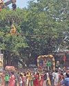 எல்லையம்மன் கோயில் ஜாத்திரை திருவிழா எல்லையம்மன் கோயில் ஜாத்திரை திருவிழா91