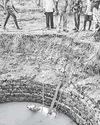 மாமல்லபுரம் அருகே விவசாய கிணற்றில் விழுந்த பசுமாடு மீட்பு82