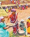 100 நாள் வேலை திட்ட பணியாளர்களை விவசாயப் பணிக்கு பயன்படுத்தலாமே?29