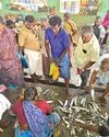 திருநங்கைகள் மறுவாழ்வு திட்டத்தை தாலுகா அளவில் உருவாக்கவேண்டும்0