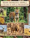 இந்தியாவில் அழிவின் பிடியில் 10 லட்சம் அரிய உயிரினங்கள் இந்தியாவில் அழிவின் பிடியில் 10 லட்சம் அரிய உயிரினங்கள்17