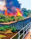 பைக்காரா, பார்சன்ஸ்வேலியில் 13வது நாளாக பற்றி எரியும் காட்டு தீ7