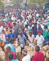 மேட்டூர் அணையின் நீர்மட்டம் 80.65 அடி0
