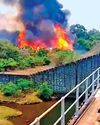 பைக்காரா, பார்சன்ஸ்வேலியில் 13வது நாளாக பற்றி எரியும் காட்டு தீ8