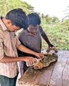குடியிருப்பு பகுதிக்குள் புகுந்த முதலை3