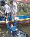 கொடைக்கானல் ஏரியில் மிதந்த பெங்களூரு பெண்5