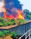 பைக்காரா, பார்சன்ஸ்வேலியில் 13வது நாளாக பற்றி எரியும் காட்டு தீ5
