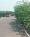 திருவாசலடி-சிதம்பரம் இடையே போக்குவரத்துக்கு இடையூறாக சாலையோரம் வளர்ந்துள்ள கருவேல மரங்களை அகற்ற வேண்டும் திருவாசலடி-சிதம்பரம் இடையே போக்குவரத்துக்கு இடையூறாக சாலையோரம் வளர்ந்துள்ள கருவேல மரங்களை அகற்ற வேண்டும்60