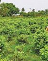 8 மாவட்டத்தில் தவெகவுக்கு ‘ரெட் கார்டு’ போட்ட மக்கள்0