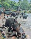 Dinakaran Pondicherry-Cuddalore