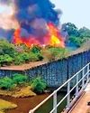 பைக்காரா, பார்சன்ஸ்வேலியில் 13வது நாளாக பற்றி எரியும் காட்டு தீ4
