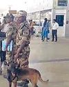 டெல்லியில் இருந்து சென்னை வந்த இண்டிகோ விமானத்தில் மனித வெடிகுண்டுகள்6
