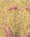 Dinakaran Delhi