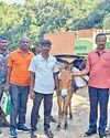 கொடைக்கானல், தேனி மலைக்கிராமங்களுக்கு குதிரை, கழுதையில் ஓட்டு மெஷின்கள்0