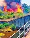 பைக்காரா, பார்சன்ஸ்வேலியில் 13வது நாளாக பற்றி எரியும் காட்டு தீ5